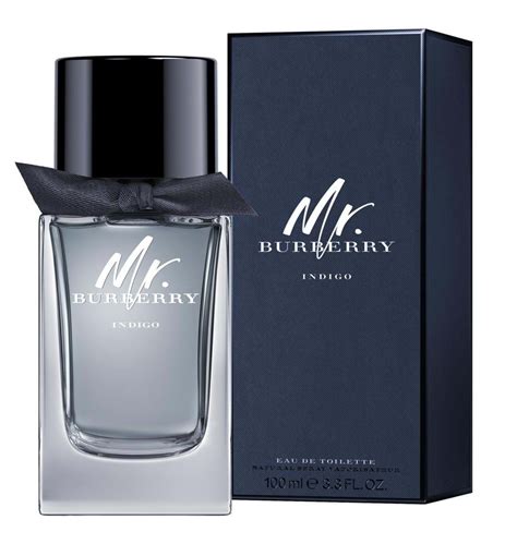 burberry indigo uomo|burberry indigo perfume.